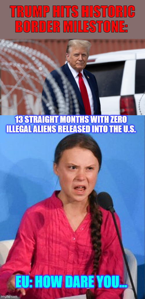 Trump Hits Historic Border Milestone | Trump Hits Historic Border Milestone:; 13 Straight Months with Zero Illegal Aliens Released into the U.S. EU: How Dare You... | image tagged in trump,angry europeans | made w/ Imgflip meme maker