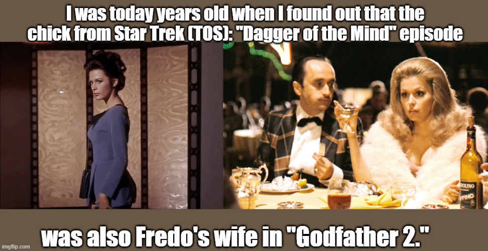 Marianna Hill | I was today years old when I found out that the chick from Star Trek (TOS): "Dagger of the Mind" episode; was also Fredo's wife in "Godfather 2." | image tagged in star trek week,the godfather | made w/ Imgflip meme maker