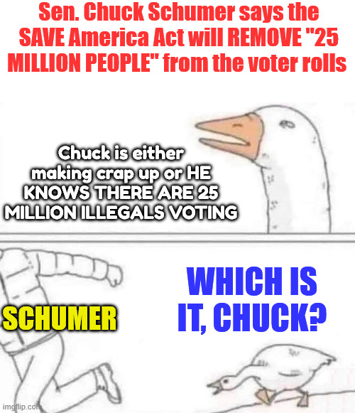 Which is it Chuck? | Sen. Chuck Schumer says the SAVE America Act will REMOVE "25 MILLION PEOPLE" from the voter rolls; Chuck is either making crap up or HE KNOWS THERE ARE 25 MILLION ILLEGALS VOTING; Which is it, Chuck? Schumer | image tagged in chuck schumer,millions of illegal voters,save america act | made w/ Imgflip meme maker