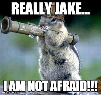 Bazooka Squirrel | REALLY JAKE... I AM NOT AFRAID!!! | image tagged in memes,bazooka squirrel | made w/ Imgflip meme maker
