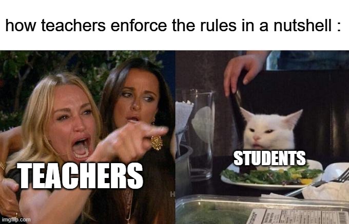 more accurativy | how teachers enforce the rules in a nutshell :; students; teachers | image tagged in memes,woman yelling at cat | made w/ Imgflip meme maker