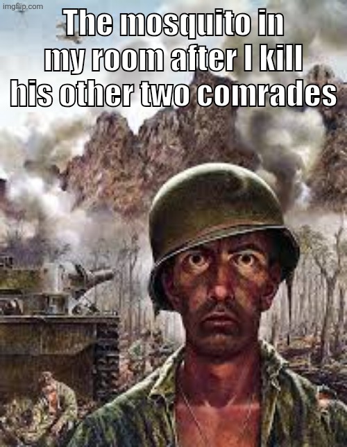 Real Life experience btw. I can't kill the third one | The mosquito in my room after I kill his other two comrades | image tagged in thousand yard stare,ptsd,mosquito,fear,meme | made w/ Imgflip meme maker