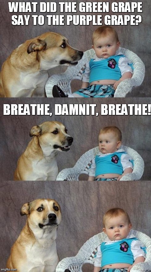 Bad Joke Dog | WHAT DID THE GREEN GRAPE SAY TO THE PURPLE GRAPE? BREATHE, DAMNIT, BREATHE! | image tagged in memes,dad joke dog | made w/ Imgflip meme maker
