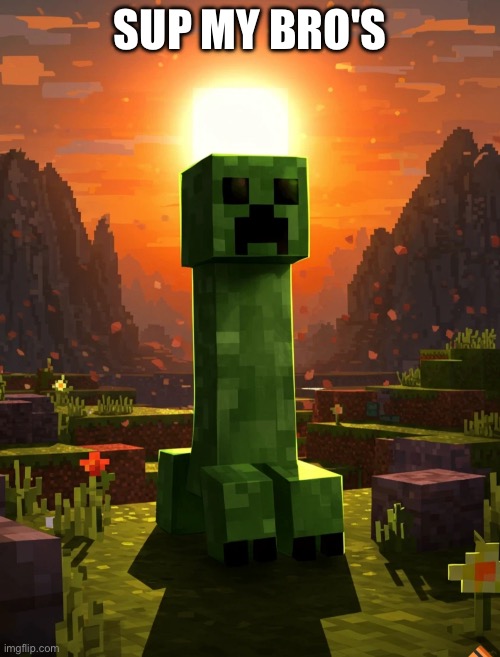 How's Everyone Doing! | Sup My Bro's | image tagged in cool creeper picture i guess,hello,minecraft,random image,idk | made w/ Imgflip meme maker