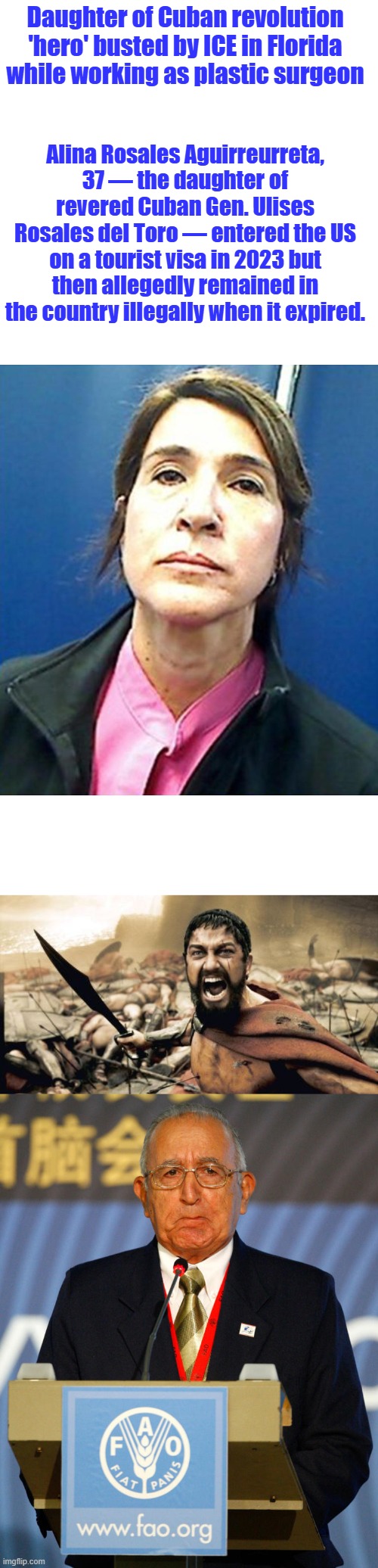 Socialist enemy invaders are everywhere within. the fao just 1 letter off f | Daughter of Cuban revolution 'hero' busted by ICE in Florida while working as plastic surgeon; Alina Rosales Aguirreurreta, 37 — the daughter of revered Cuban Gen. Ulises Rosales del Toro — entered the US on a tourist visa in 2023 but then allegedly remained in the country illegally when it expired. | image tagged in memes,sparta leonidas | made w/ Imgflip meme maker