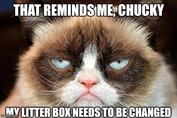 Grumpy Cat Not Amused Meme | That reminds me, Chucky My litter box needs to be changed | image tagged in memes,grumpy cat not amused,grumpy cat | made w/ Imgflip meme maker