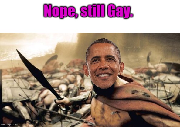 Nice try Dems | Nope, still Gay. | image tagged in memes,sparta leonidas | made w/ Imgflip meme maker