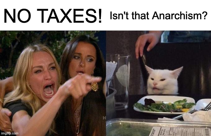 Taxes are important, conservatives care about their wealth more than the betterment of society | NO TAXES! Isn't that Anarchism? | image tagged in memes,woman yelling at cat | made w/ Imgflip meme maker