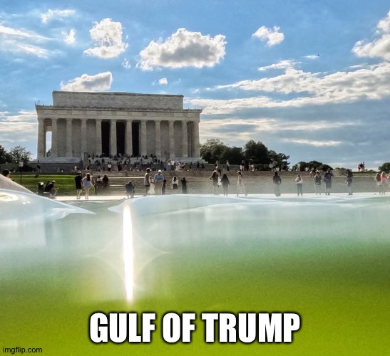 Donald Trump's Reflecting Pool Swamp | Gulf of trump | image tagged in donald trump's reflecting pool swamp | made w/ Imgflip meme maker