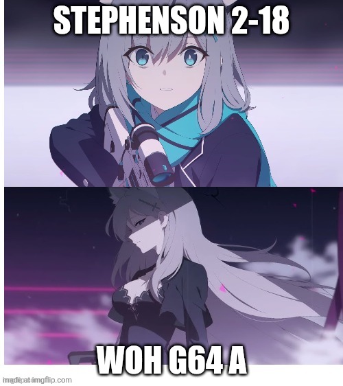 Nah bro cuz wikipedia says WOH G64 is the largest star | Stephenson 2-18; WOH G64 A | image tagged in blue archive | made w/ Imgflip meme maker