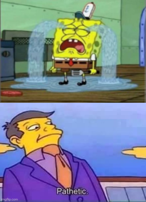 How pathetic... •__• | image tagged in pathetic,skinner pathetic,simpsons,spongebob,crying | made w/ Imgflip meme maker