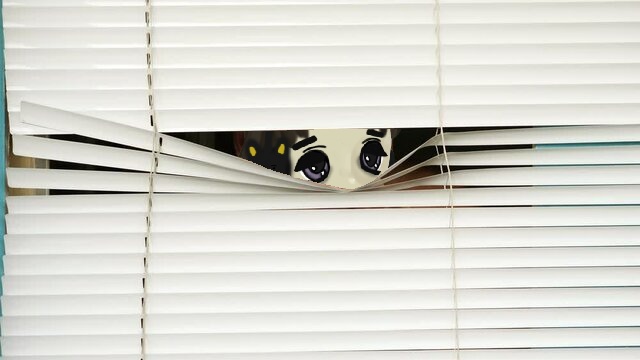 milady peeking Blank Meme Template