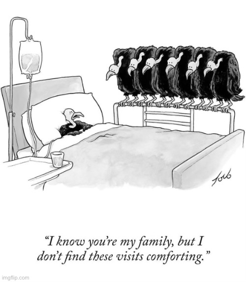 I think they came for a different reason… | image tagged in comics,vulture,sick | made w/ Imgflip meme maker