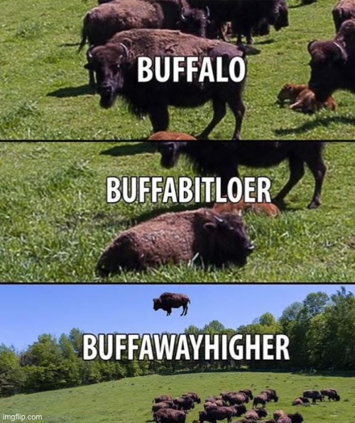 Buffasuperhigh | image tagged in buffalo,buffabitlower,buffawayhigher | made w/ Imgflip meme maker