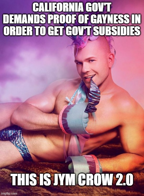 Sexy Gay Unicorn | California gov't demands proof of gayness in order to get gov't subsidies this is jym crow 2.0 | image tagged in sexy gay unicorn | made w/ Imgflip meme maker