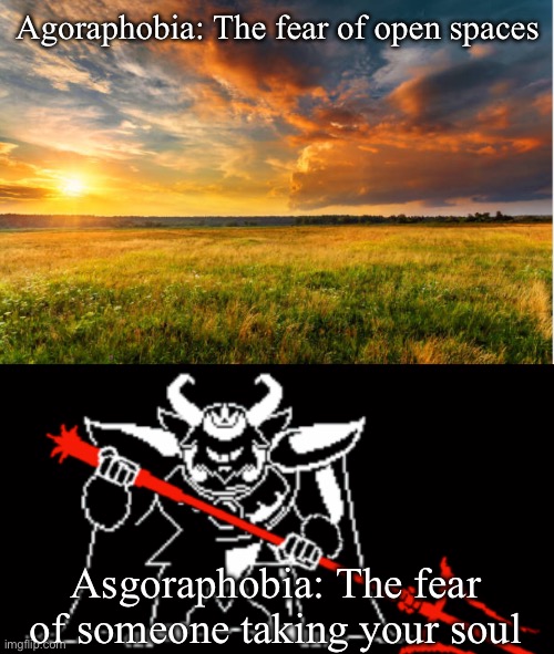 The first phobia is real though | Agoraphobia: The fear of open spaces; Asgoraphobia: The fear of someone taking your soul | image tagged in undertale,agoraphobia,asgoraphobia,asgore | made w/ Imgflip meme maker