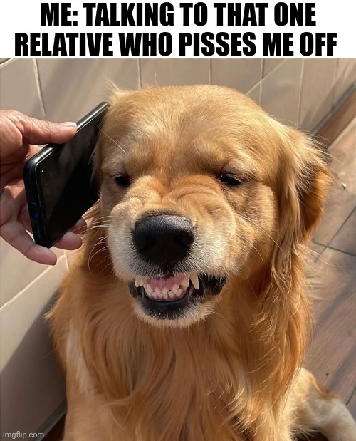 Me Taking To That One Relative Who Pisses Me Off | Me: talking to that one relative who pisses me off | image tagged in chrisjoines1 | made w/ Imgflip meme maker