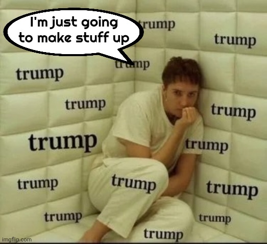 TDS sufferer | I'm just going to make stuff up | image tagged in tds sufferer | made w/ Imgflip meme maker