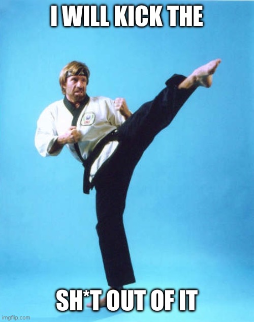 I will kick the Sh*t out of it | image tagged in chuck norris kick | made w/ Imgflip meme maker