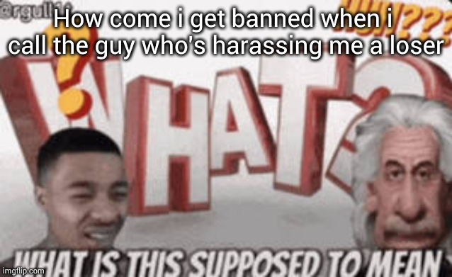 IMG_1312.png | How come i get banned when i  call the guy who's harassing me a loser | image tagged in img_1312 png | made w/ Imgflip meme maker
