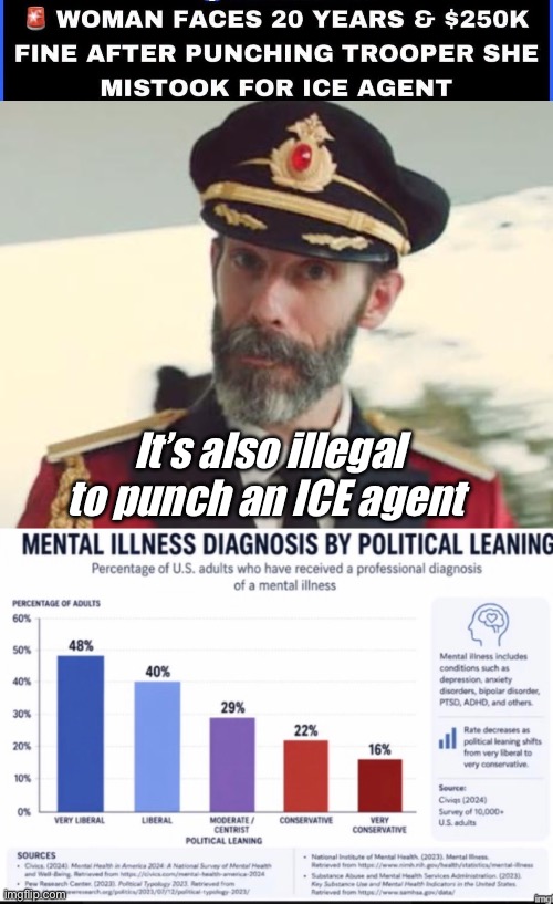 Even her defense is illegal | It’s also illegal to punch an ICE agent | image tagged in captain obvious,politics lol,memes,liberal logic,stupid people | made w/ Imgflip meme maker
