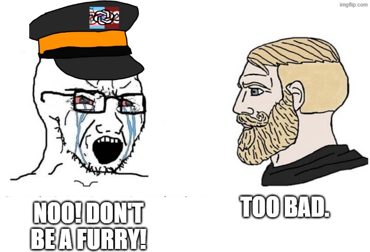 AICP vs Chad | Too bad. Noo! Don't be a furry! | image tagged in soyboy vs yes chad,memes,furry | made w/ Imgflip meme maker