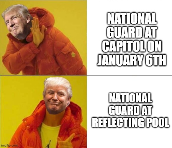Priorities | National guard at capitol on january 6th; national guard at reflecting pool | image tagged in trump drakeposting | made w/ Imgflip meme maker