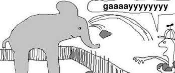 gaaaayyyyyyyyy | image tagged in gaaaayyyyyyyyy | made w/ Imgflip meme maker