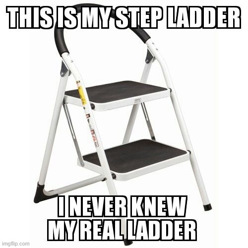 Step Ladder | image tagged in repost | made w/ Imgflip meme maker