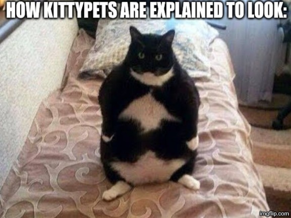 ☆_☆ | image tagged in warrior cats,kittypets | made w/ Imgflip meme maker