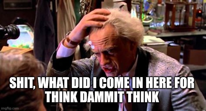 gigawatts | Shit, what did I come in here for 
Think dammit think | image tagged in gigawatts | made w/ Imgflip meme maker
