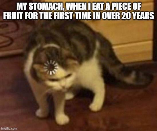 Does Not Compute | My stomach, when I eat a piece of fruit for the first time in over 20 years | image tagged in loading cat,eating,memes | made w/ Imgflip meme maker