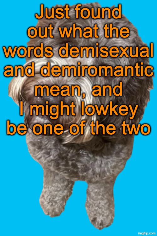 Northers Dog (Transparent) | Just found out what the words demisexual and demiromantic mean, and I might lowkey be one of the two | image tagged in northers dog transparent | made w/ Imgflip meme maker