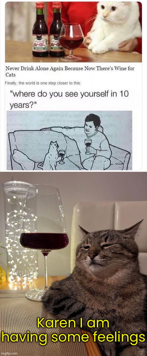 Been through a trauma and she needs a meowment… | Karen I am having some feelings | image tagged in funny cat memes | made w/ Imgflip meme maker