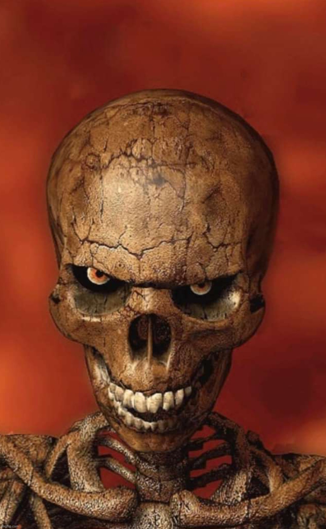 "Love thy neighbour" mfs when minorities are their neighbours | image tagged in staring skeleton | made w/ Imgflip meme maker