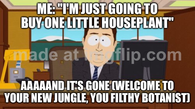 ME: "I'M JUST GOING TO BUY ONE LITTLE HOUSEPLANT"; AAAAAND IT'S GONE | ME: "I'M JUST GOING TO BUY ONE LITTLE HOUSEPLANT"; AAAAAND IT'S GONE (WELCOME TO YOUR NEW JUNGLE, YOU FILTHY BOTANIST) | image tagged in memes,aaaaand its gone,house,plants,jungle,plant | made w/ Imgflip meme maker