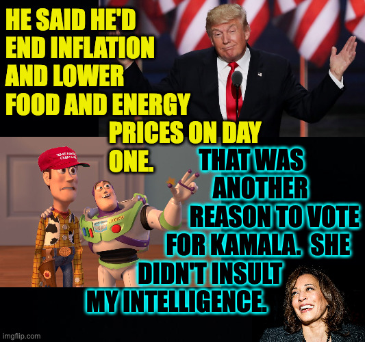 Not that I needed more reasons. | he said he'd
end inflation
and lower
food and energy
                      prices on day
                      one. that was
                           another
                      reason to vote
                 for kamala.  she
           didn't insult
my intelligence. | image tagged in memes,x x everywhere,con man don | made w/ Imgflip meme maker