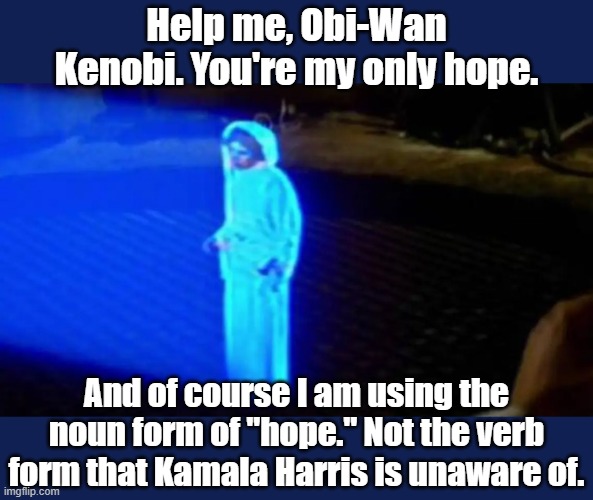 Let's HOPE she decides NOT to run for office again. | Help me, Obi-Wan Kenobi. You're my only hope. And of course I am using the noun form of "hope." Not the verb form that Kamala Harris is unaware of. | image tagged in princess leia,star wars meme,political meme,kamala harris | made w/ Imgflip meme maker