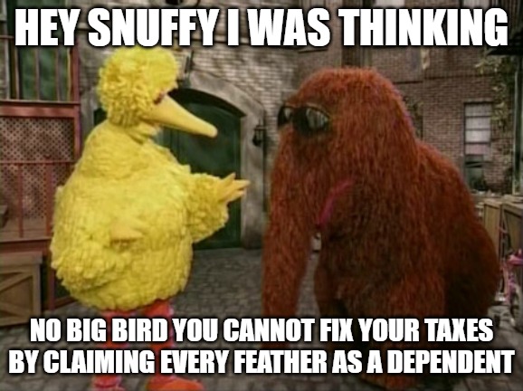 Big Bird And Snuffy | HEY SNUFFY I WAS THINKING; NO BIG BIRD YOU CANNOT FIX YOUR TAXES BY CLAIMING EVERY FEATHER AS A DEPENDENT | image tagged in memes,big bird and snuffy | made w/ Imgflip meme maker