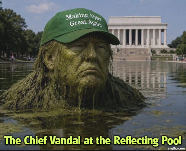 Photo reveals the main vandal at the Reflecting Pool. | The Chief Vandal at the Reflecting Pool | image tagged in trump vandal-in-chief at the reflecting pool,trump,reflecting pool,incompetence,idiot,maga | made w/ Imgflip meme maker