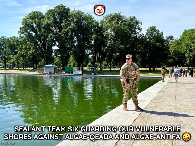 A National Security Issue | 🤡; Sealant Team Six guarding our vulnerable shores against Algae-Qeada and Algae-antifa 🤪 | image tagged in trump,gop,maga,nazis,fascists,national security | made w/ Imgflip meme maker