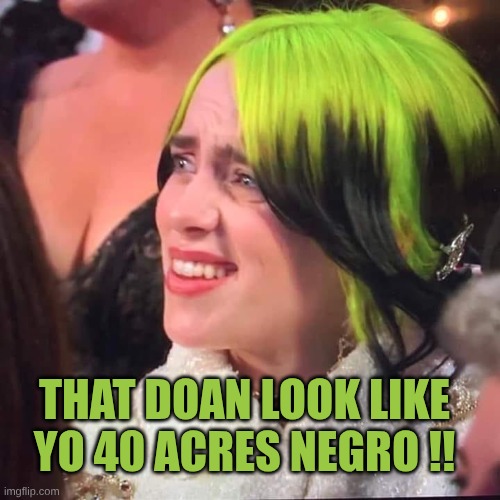 Eilish | That doan look like yo 40 acres Negro !! | image tagged in eilish | made w/ Imgflip meme maker