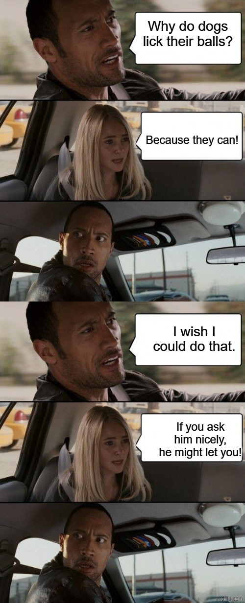Why do dogs lick their balls? Because they can! I wish I could do that. If you ask him nicely, he might let you! | image tagged in memes,the rock driving | made w/ Imgflip meme maker