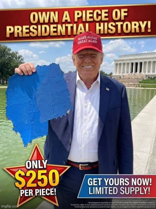 Make Algae Great Again | image tagged in maga | made w/ Imgflip meme maker