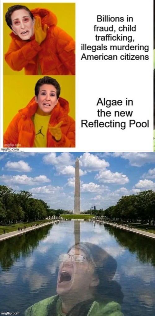 Madcow Reflecting Pool | image tagged in madcow reflecting pool | made w/ Imgflip meme maker