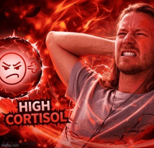 High Cortisol | image tagged in high cortisol | made w/ Imgflip meme maker