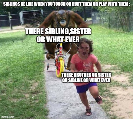 this looks fammilar and too true | siblings be like when you touch or hurt them or play with them :; there sibling,sister or what ever; there brother or sister or sibline or what ever | image tagged in run,facts,siblings | made w/ Imgflip meme maker