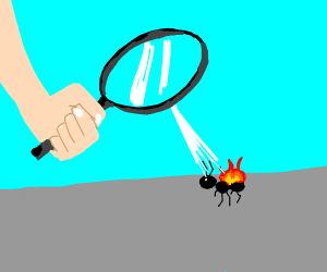 Ant getting burned by magnifying glass Blank Meme Template