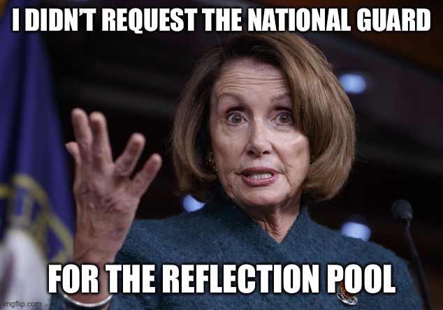 I didn’t request the national guard For the reflection pool | image tagged in good old nancy pelosi | made w/ Imgflip meme maker
