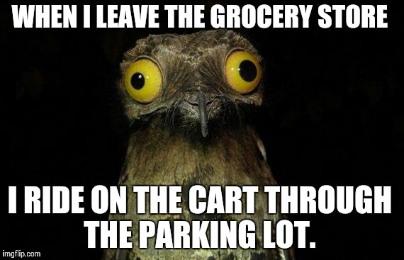 Weird Stuff I Do Potoo Meme | WHEN I LEAVE THE GROCERY STORE I RIDE ON THE CART THROUGH THE PARKING LOT. | image tagged in memes,weird stuff i do potoo,AdviceAnimals | made w/ Imgflip meme maker